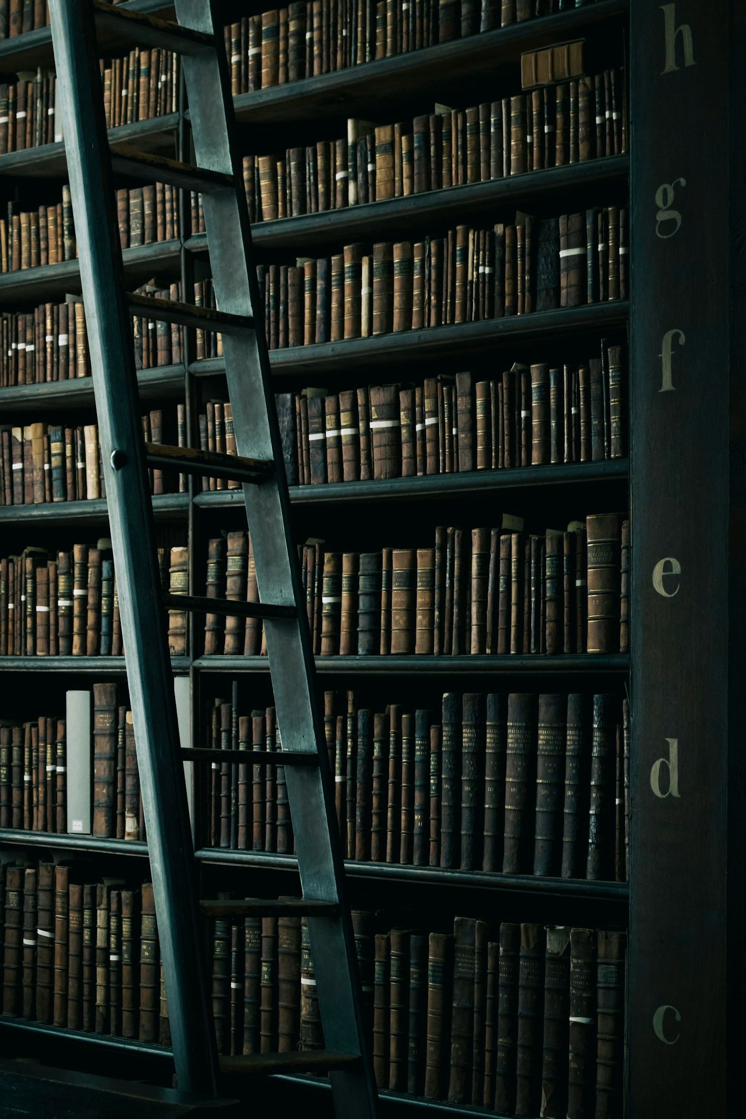 The Role of Books in Community Building