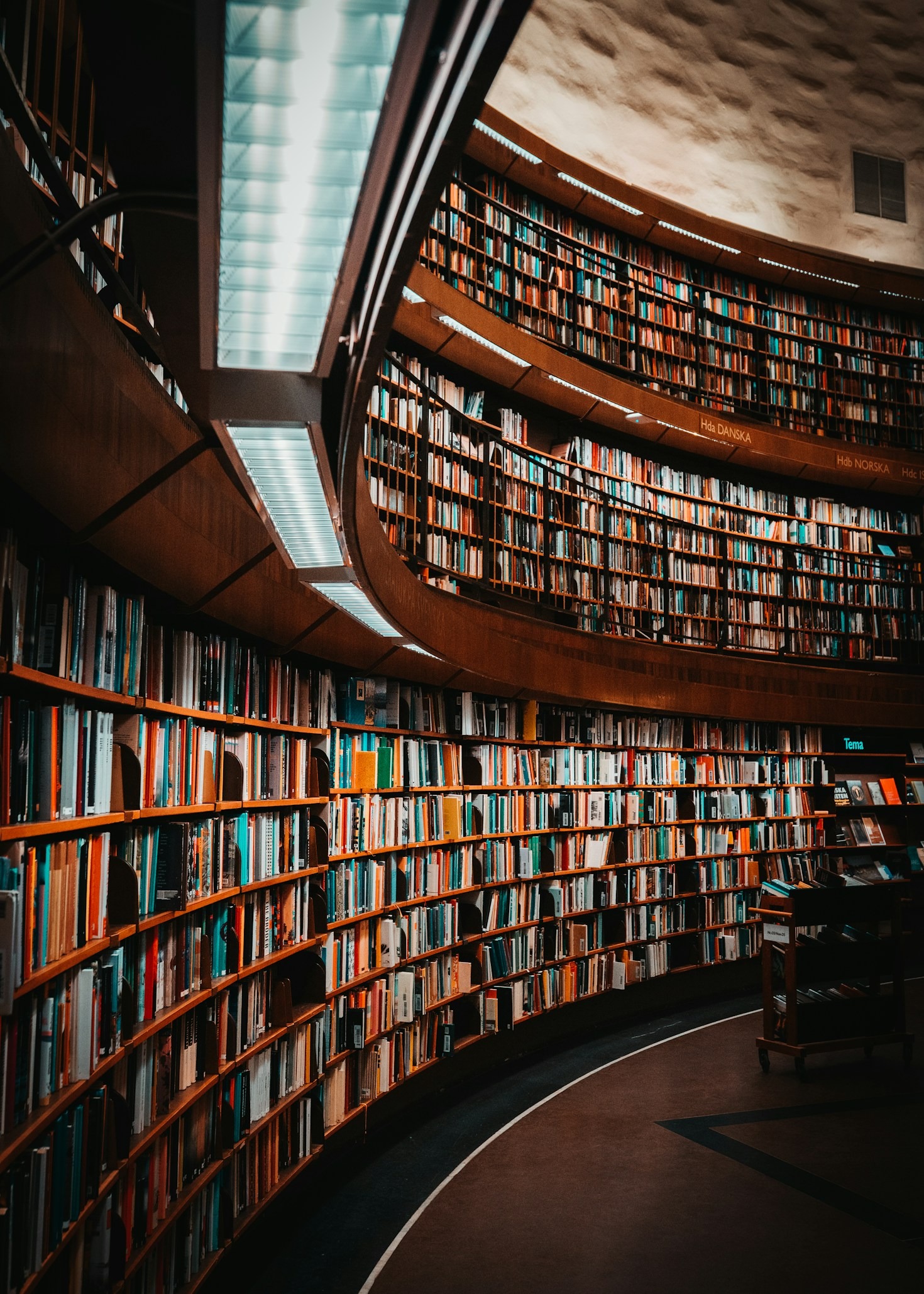 Creating Unity via Shared Literary Experiences