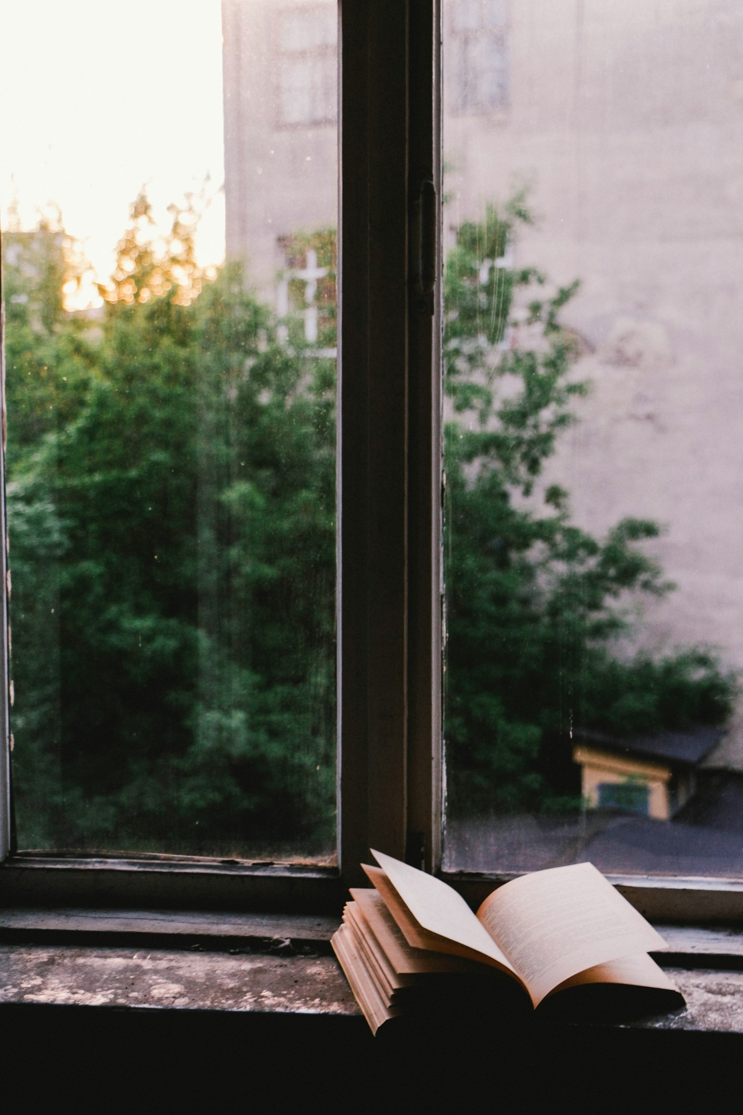 Exploring the Transformative Power of Books